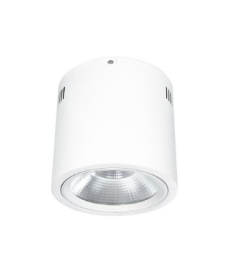 GloboStar® 999-0001 Φωτιστικό Σποτ Οροφής Downlight 30W 3000lm 24° AC 220-240V IP20 Ψυχρό Λευκό 6000K